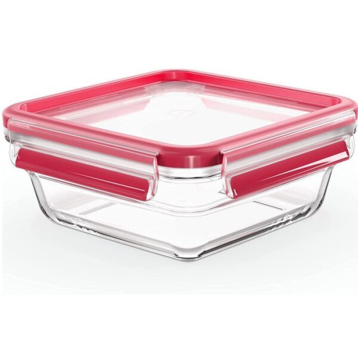 Форма універсальна з кришкою TEFAL N1041410