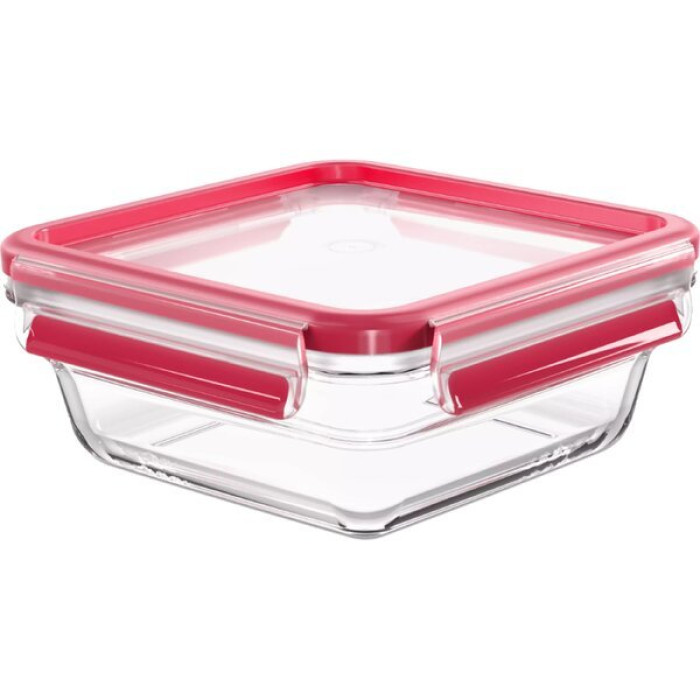 Форма універсальна з кришкою TEFAL N1040610